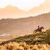 How Wyoming increased traveler interest ninefold through a TV campaign